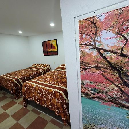 Hotel Vicalis ซาน ฮวน ตีโอตีฮัวคัน ภายนอก รูปภาพ