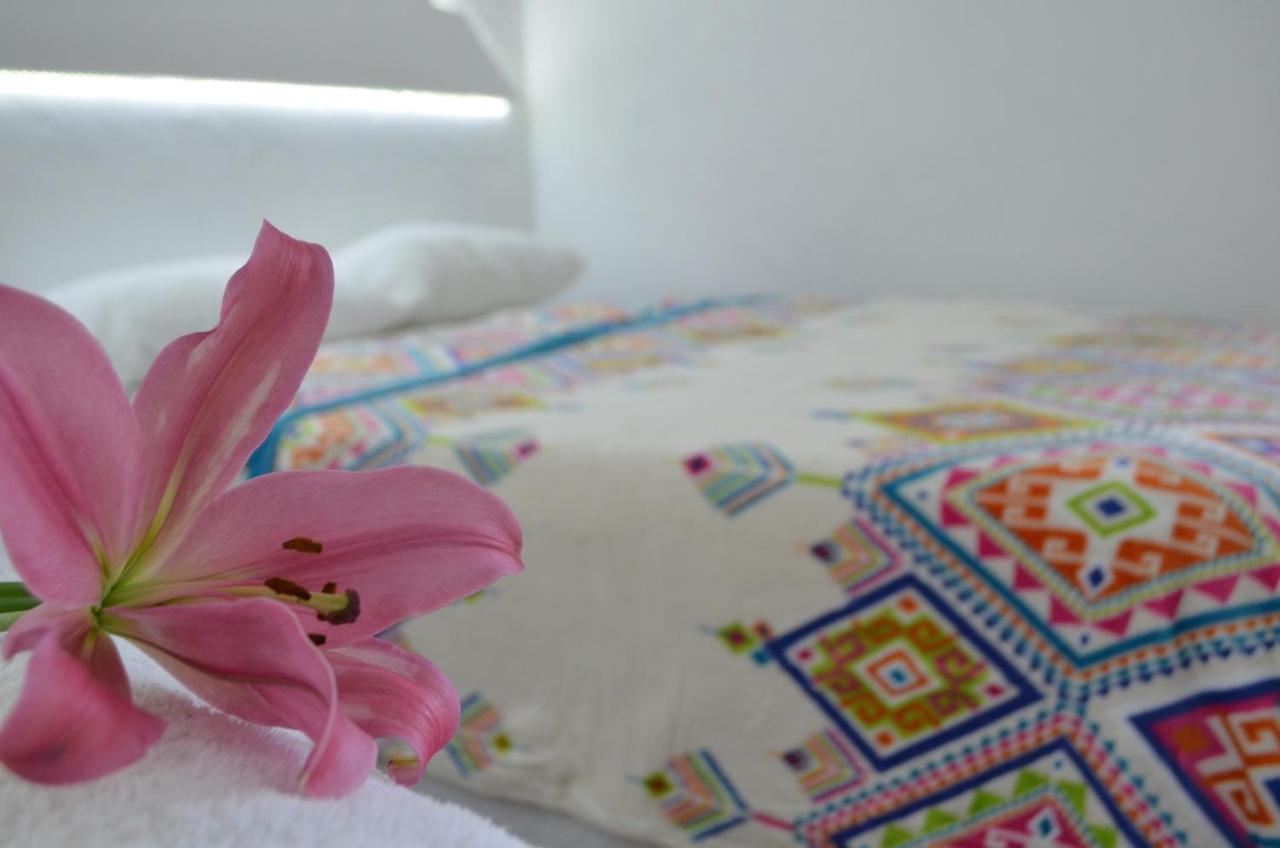 Hotel Vicalis ซาน ฮวน ตีโอตีฮัวคัน ภายนอก รูปภาพ