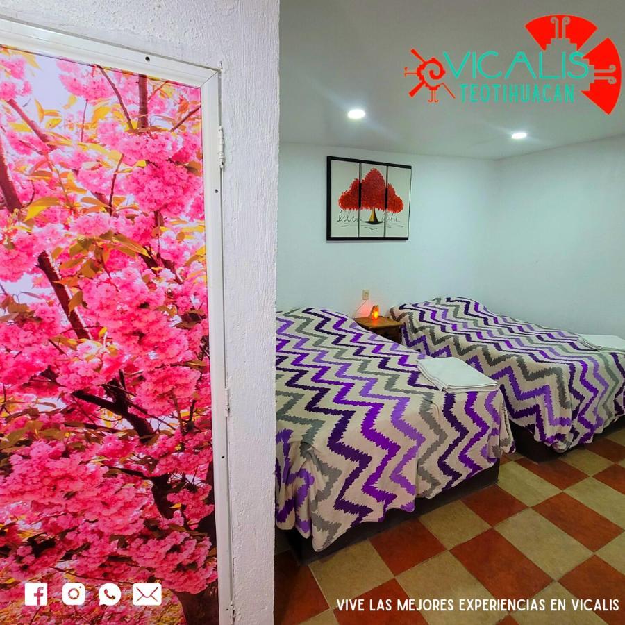 Hotel Vicalis ซาน ฮวน ตีโอตีฮัวคัน ภายนอก รูปภาพ